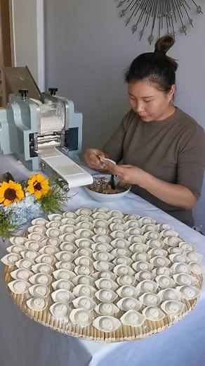 Automatic Dumpling Wrapper Machine for Custom Needs