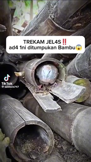 skm on TikTok