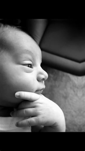 Maths Help for IB Students on Instagram: "Carried by @revisiondojo and you should be too #maths #ibdp #mathematics #ibmaths #revisiondojo #algebra #calculus #trigonometry #mathmemes"