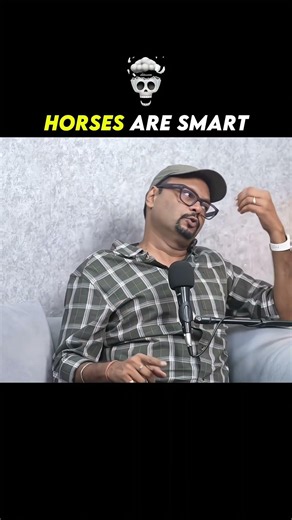 How Smart Are Horses? 🐴🧠 | You’ll Be Surprised!
