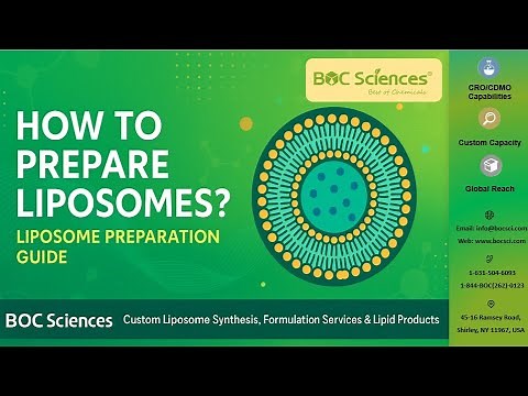 How to Prepare Liposomes? - Liposome Preparation Guide - BOC Sciences
