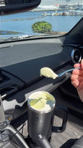 Sunny day ice cream ☀️🍦Trying out this viral Stanley tumbler hack to keep ice cream cool outdoors
