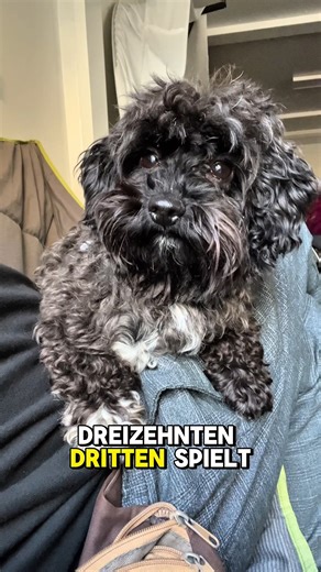 HumorZone on Instagram: "🎭 Archie Clapp – Neue Flügel Comedy mit Herz, Witz und ordentlich Tiefgang! 🤩 Was macht ein Comedian, wenn seine Tochter eine neue Lunge bekommt? Archie Clapp nimmt uns in seinem neuen Programm mit auf eine Achterbahnfahrt zwischen Lebensnähe, Familienchaos und ganz viel Humor – ehrlich, wild, zärtlich und zum Brüllen komisch. agentour.org Am 13. März 2026 um 18:30 Uhr bringt er „Neue Flügel“ ins OstPol Dresden – eine Show, die berührt, zum Lachen bringt und zeigt, das