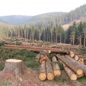 FILMON TV LIVE TV MOVIES AND SOCIAL TELEVISION