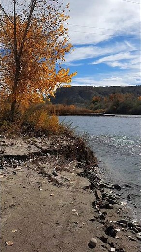 The San Juan River at Among the Waters Park in Farmington New Mexico. Another great free place to go