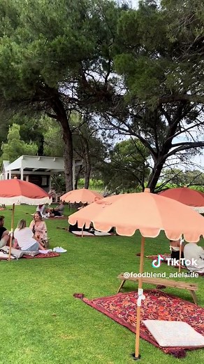 Down The Rabbit Hole McLaren Vale Restaurant Experience