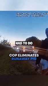 Cop eliminates runaway pig | Braddock's Cask & Table