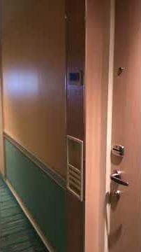 Carnival Vista Oceanview Cabin 11203