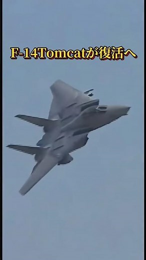 The F-14 Tomcat is returning! Maverick Act passed #f14