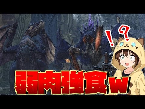 【ワイルズ】公式にモンスターをおもちゃにしたイベクエがヤバいｗ