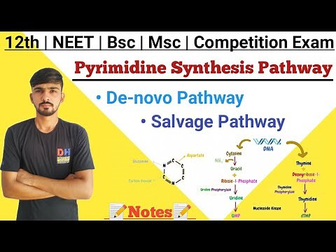 Biosynthesis Of Pyrimidine | Pyrimidine Synthesis By De-novo Pathway | Biochemistry | By Dadhich Sir
