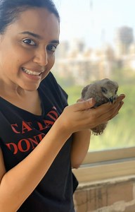 10M views · 10K reactions | So I was walking my dog #Godot in the...