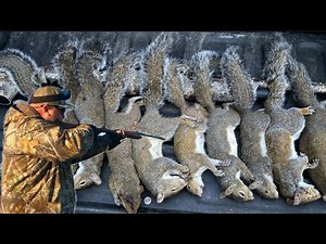 Tree to Table - Squirrel Hunt! Catch & Cook