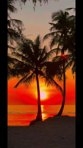 ViajesYpoesia (@viajesypoesias)’s videos with Beautiful view - olbatmusic