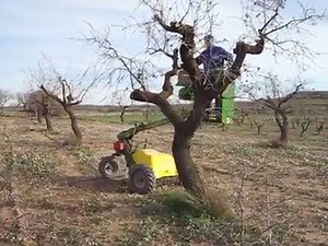 Remote Control Tree pruning.. | Tractors & Farm Machinery