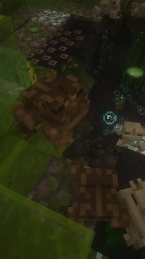 S01E09 My Custom Striped Marsh Frog #minecraft #minecraftbuilding #gaming #mcyt