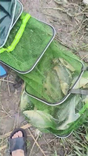 Best fishing spots NEAR ME – how to find them 🗺️ #FishingSpots #LocalFishing #Shorts