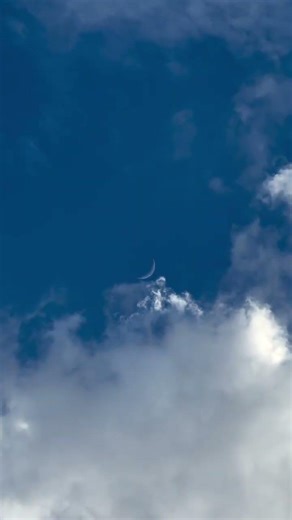 A beautiful day and a Cresent Moon🌙🌙😍 #moon #plants #nature #relaxing