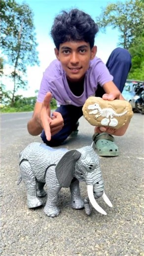 Remote Control 1 Ta Elephant 🐘 Unboxing And Testing 🔥