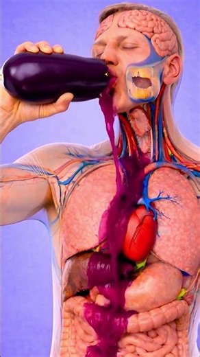 What Happens Inside Your Body When You Eat Eggplant? 😱🍆