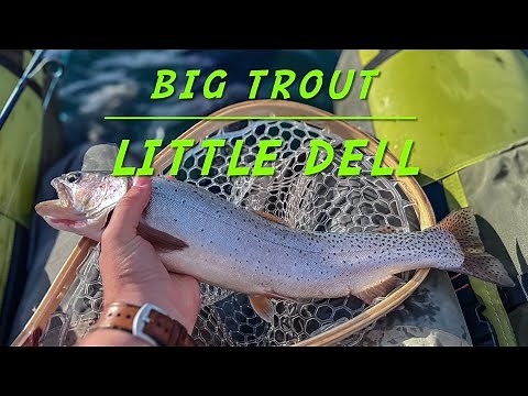 How is the Fishing at Little Dell Reservoir?