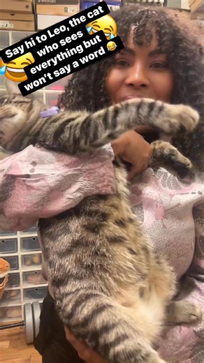 Say hello to Leo, the kitty who sees it all but won’t say a word 😂. 7 months old, he’s just fat 😂. | Kat China Antoine