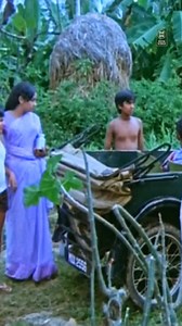 😁😁 | Comedy Stars Malayalam Comedy Show
