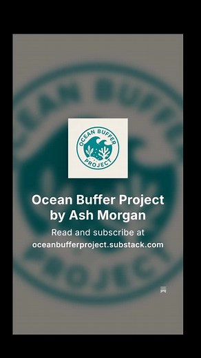 ⁉️ Want to know more about our community-powered climate action project?  Follow our weekly progress as we build our carbon capture hub, or read all about how we got started in the archives. Subscribe so you never miss the a l g a e b a s e d f u n ✨️  oceanbufferproject.co.uk #substack #newsletter #carbondioxideremoval #CarbonCapture #conservation #oceanbufferproject | Ocean Buffer Project | Facebook