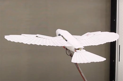 EPFL Researchers Develop a Bird-Shaped Drone That Flies Just Like its Real-Life Counterpart