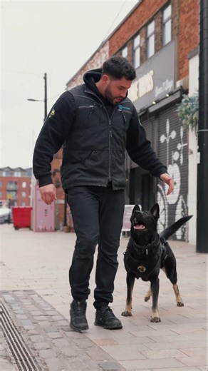 Nothing Will Ever Stop The Path We Are On 💪❤️ #protectiondogsworldwide