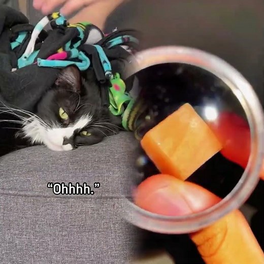 Penny really smooshed her face in!