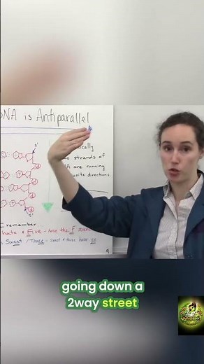 How DNA Copies Itself Backwards #shorts #DNA #ScienceFacts