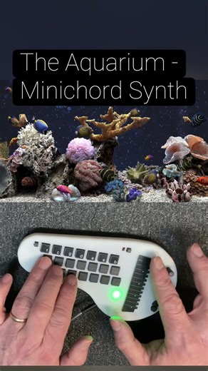 Minichord Synth - Aquarium music