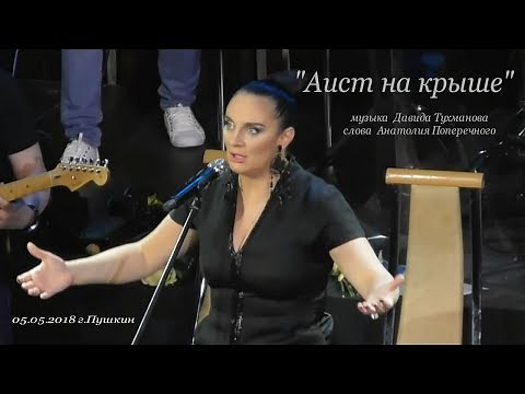 Елена Ваенга - Аист на крыше (05.05.2018г.)