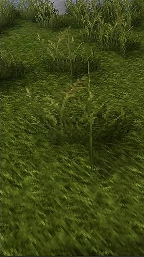 🌿Minecraft Normal vs Texture Pack |Realistic Transformation (Part 1)