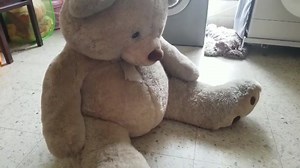 10K views · 340 reactions | Mr Teddy needs a bath.... pathu varushama...