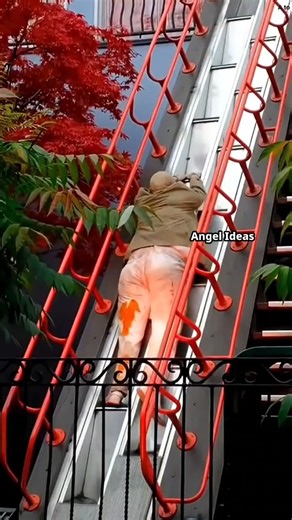 Angel Ideas on Reels