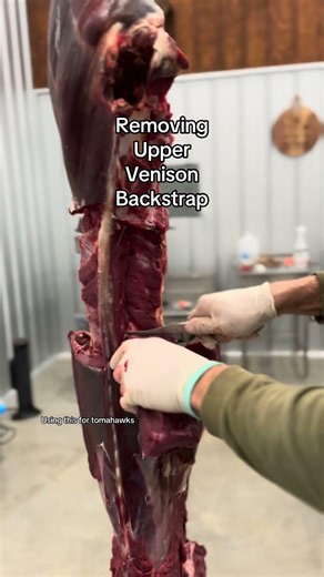 UPPER VENISON BACKSTRAP