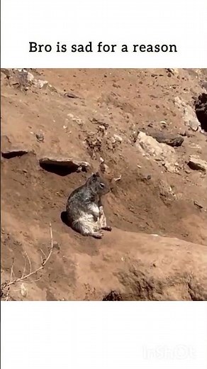 looks like he is sad