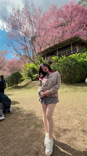 🌸 #ขุนช่างเคี่ยน #พญาเสือโคร่ง #ดอยปุย