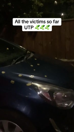 ANGRY Pickles: Don't Phuk About!