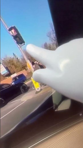 TipitiTap Funny Pointer Reacts to Car crash 💥 🚗