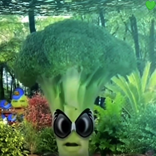 #ANNOYINGORANGE ~~ ignire some of the lags also “Plum you made this a month or something ago why post it now?” well im bored shut up sshhhhh #annoyingorange #annoyingorangetiktok #edit #xybc hey @