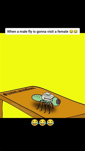 Hilarious Animated Flies Moment