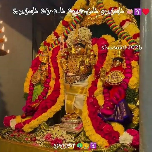 Seval Kodi Parakuthada Song || Murugan What's app status devotional song HD✨🙏 #murugan