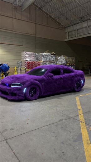 Exclusive 1of1 Fur Wrap for Vehicles