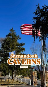 8.3K views · 55 reactions | Bacon for breakfast, please. Cave bacon....