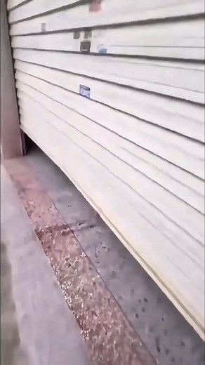 2K views · 37 reactions | ✨ | Bangladesh Telecom Plus | Facebook