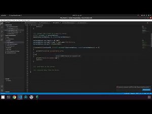 7. create a TCP client.