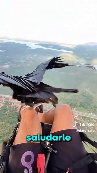 Extraordinary Facts You Didn't Know About the World